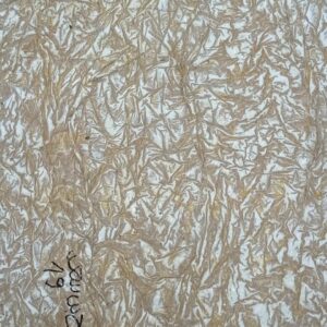 Hamadi Ben Saad 170cm/100cm